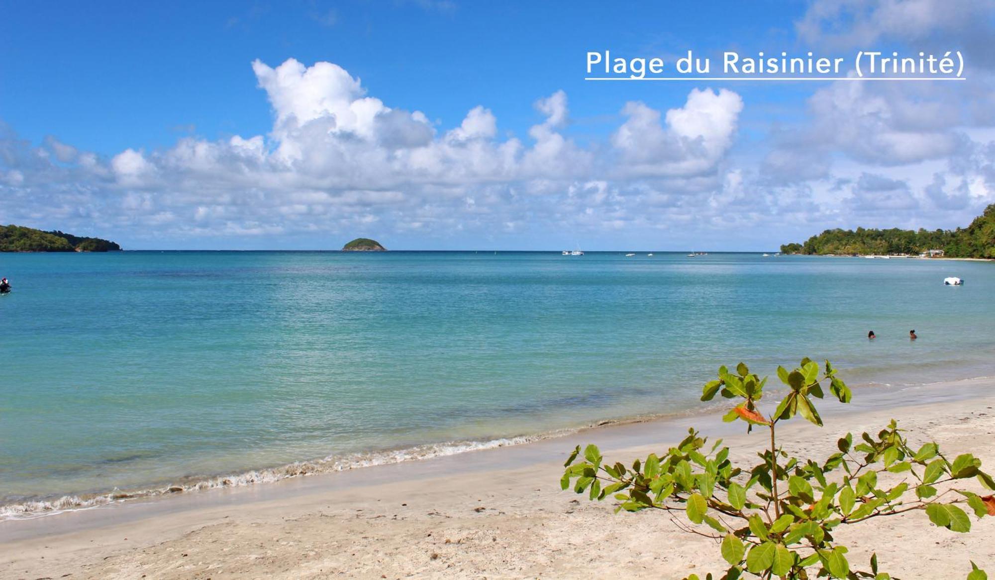 F3 Hibiscus - Piscine Chauffee - Vue Mer - 9 Min De La Plage - Ti Zwezo Paradi La Trinite Exterior photo
